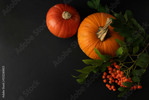 Halloween pumpkin and pumpkins. Background with pumpkins.