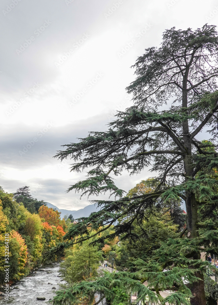Gilfpromenade in Meran in Südtirol Gilfpromenade in Meran in Südtirol