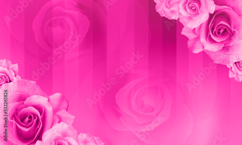 pink roses flower placed on the top right corner  and bottom left corner on the gradient pink background  blur roses flower  banner  card  copy space