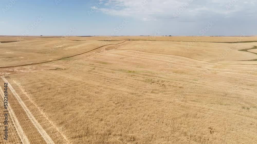 Aerial wheat field during harvest. Rural farming community agricultural economy. Summer harvesting of wheat grain agriculture. Tractor combine equipment. Rolling hills of Washington. Aerial wheat field during harvest. Rural farming community agricultural economy. Summer harvesting of wheat grain agriculture. Tractor combine equipment. Rolling hills of Washington.