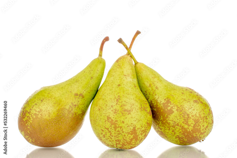 Three juicy green pears, macro, isolated on a white background. Three juicy green pears, macro, isolated on a white background.
