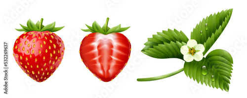 Strawberry Realistic Set