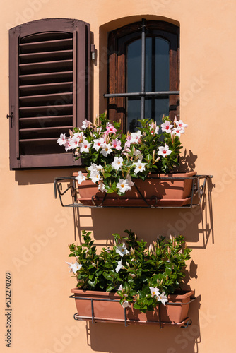 Window Decorated With Flowers