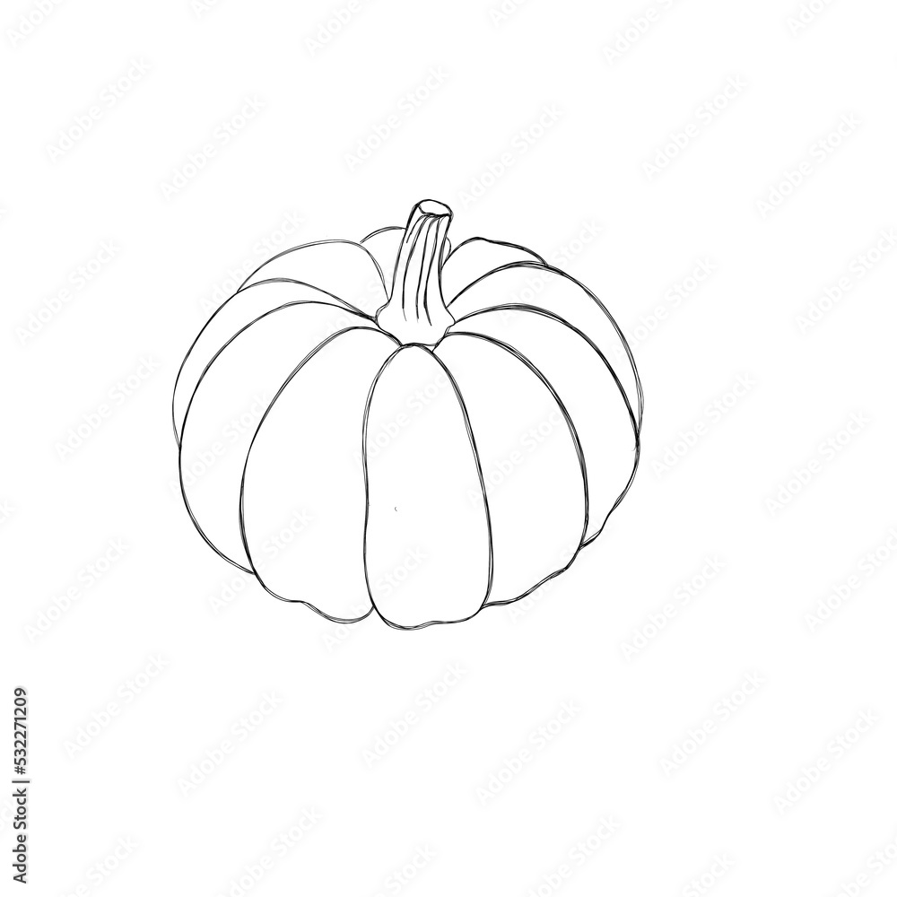 Ink sketch of pumpkin isolated on white background. Hand drawn illustration. Retro style. Ink sketch of pumpkin isolated on white background. Hand drawn illustration. Retro style.