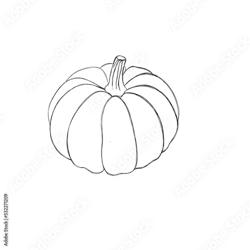 Ink sketch of pumpkin isolated on white background. Hand drawn illustration. ...