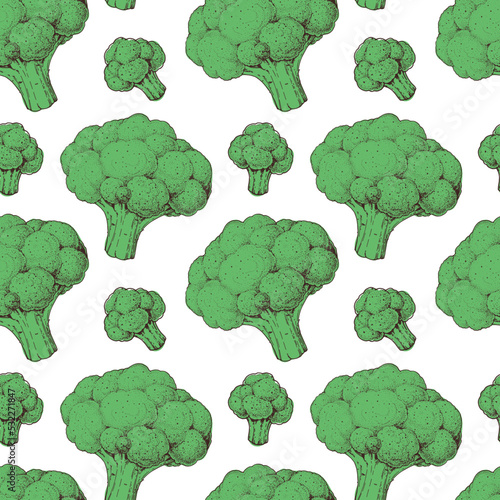 Broccoli cabbage seamless pattern. Hand drawn background. Vector illustration. Hand drawing illustration. Broccoli cabbage vegetable hand drawn backdrop.