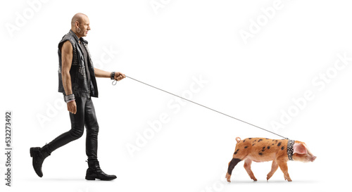 Full length profile shot of a punk walking a little pig pet on a lead