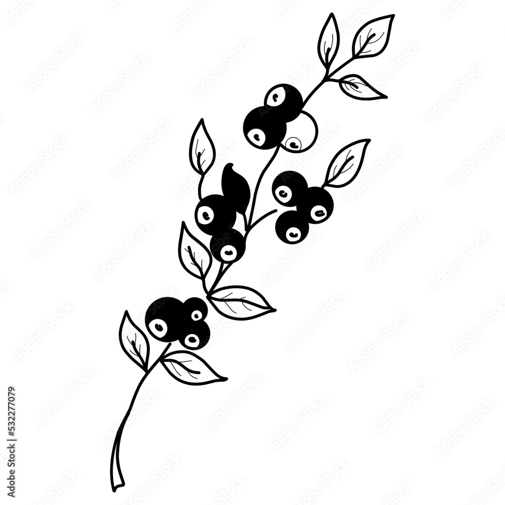 branch with berries illustration. Hand-drawn doodles illustration. Line art. Icon