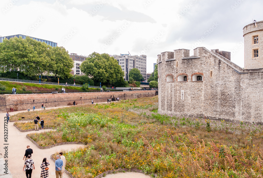 London, England, UK- September 10, 2022: the Tower of London ‘Superbloom’ marks the Queen’s Platinum Jubilee with a plantation of 20 million seeds filling the moat with a changing pattern of colourful