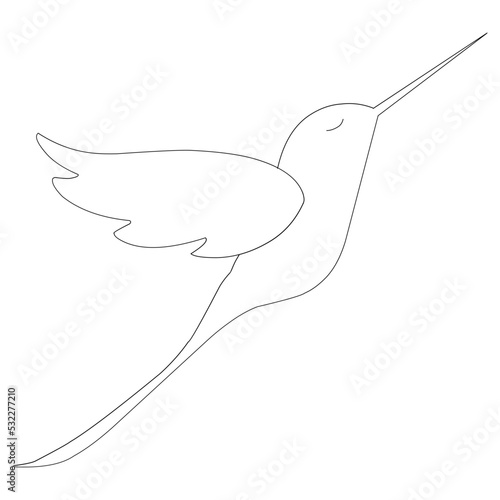 hummingbird illustration. Hand-drawn doodles illustration. Line art. Icon