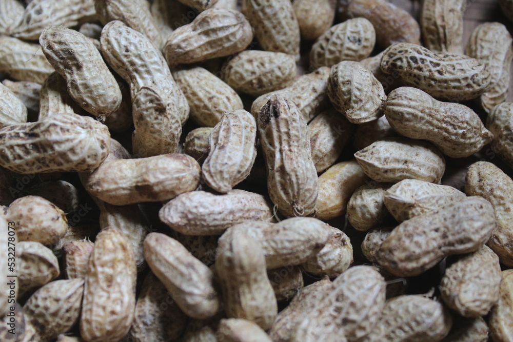 many groups of raw peanuts many groups of raw peanuts