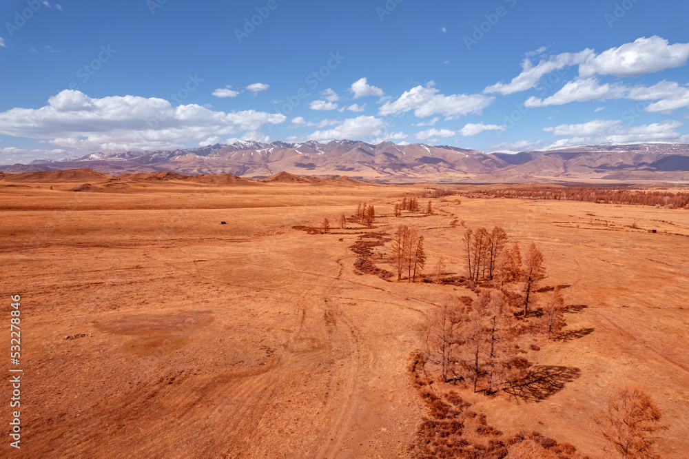 Altai Kurai steppe Russia, beautiful landscape autumn forest with snow peaks mountains Chuysky tract. Aerial top view