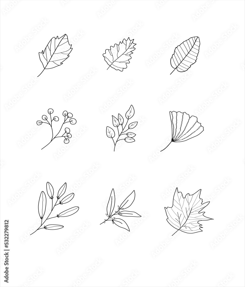 set of leaf vector illustrations set of leaf vector illustrations