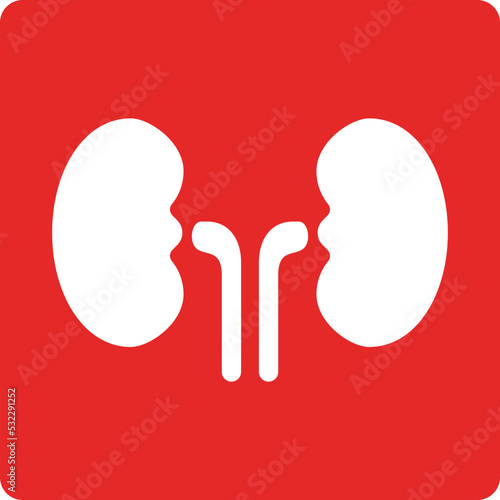 Kidneys icon. Urology vector symbol. Health care, medical sign for website and app design.