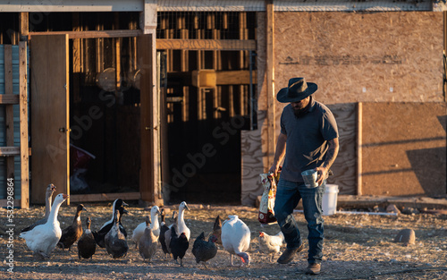 Man Feeding Ducks and Geese on His Farm in Colorado