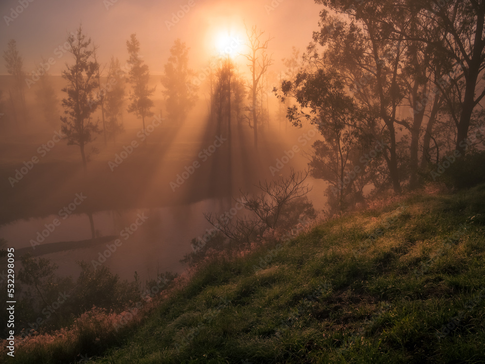 Sunrise Through Mist Along River