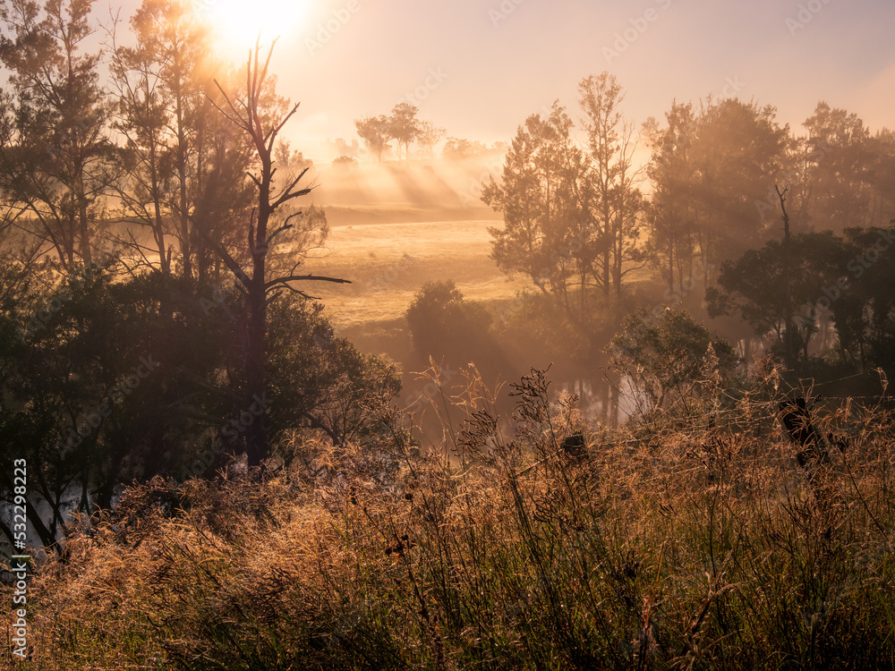 Fototapeta premium Sunrise Through Mist Along River