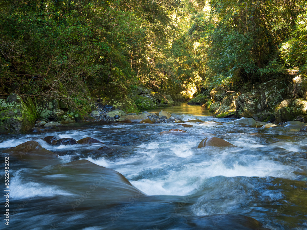 Obraz premium Forest Stream Cascading Over Rocks