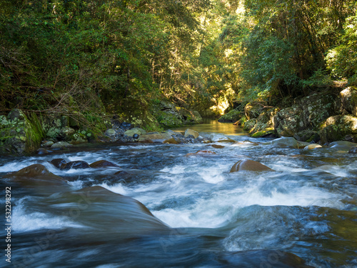 Forest Stream Cascading Over Rocks