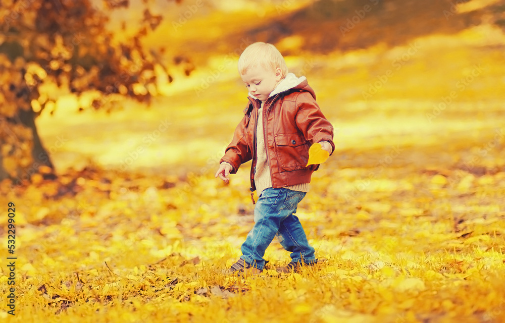 Stylish little child boy walking with yellow leaves in autumn park Stylish little child boy walking with yellow leaves in autumn park