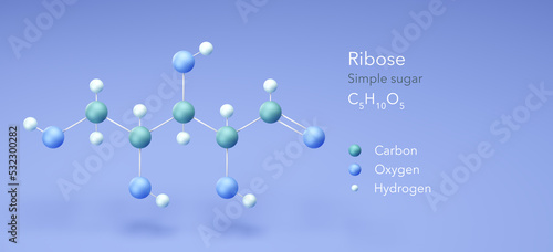 ribose, molecular structures, Simple sugar, 3d model, Structural Chemical Formula and Atoms with Color Coding photo