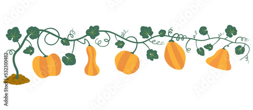 つる草に実カボチャのフレーム　オレンジ2