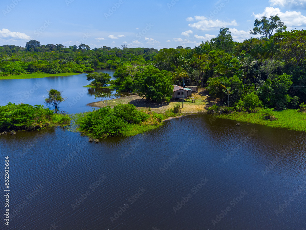 Aerial view of Igapó, the Amazon rainforest in Brazil, an incredible green landscape with lots of water and untouched nature