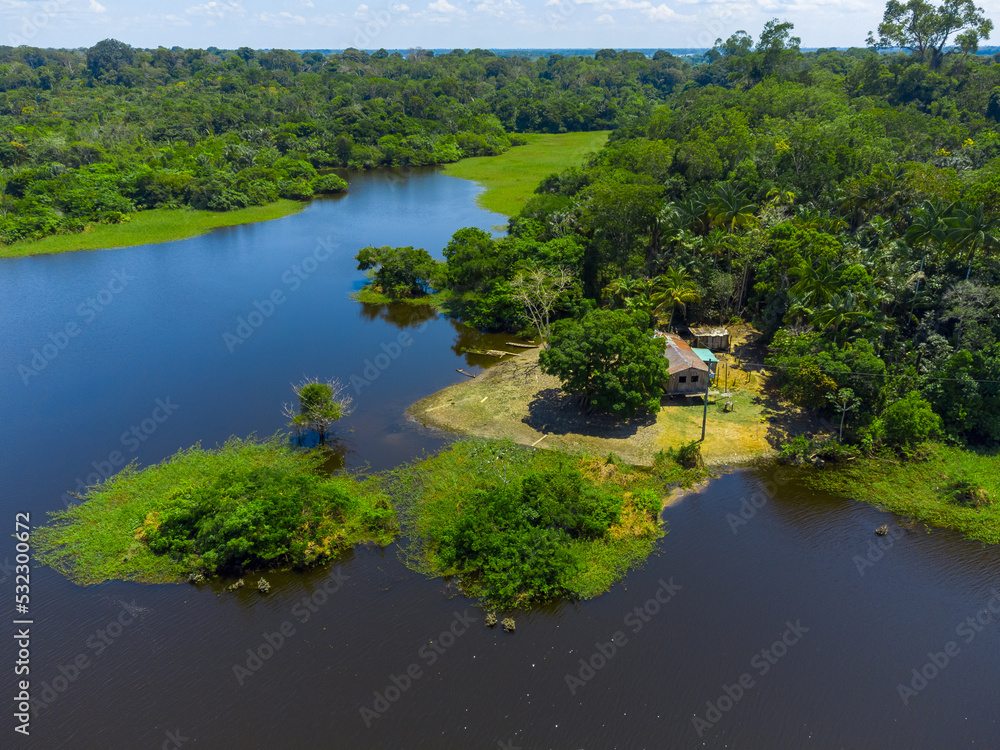 Aerial view of Igapó, the Amazon rainforest in Brazil, an incredible green landscape with lots of water and untouched nature Aerial view of Igapó, the Amazon rainforest in Brazil, an incredible green landscape with lots of water and untouched nature