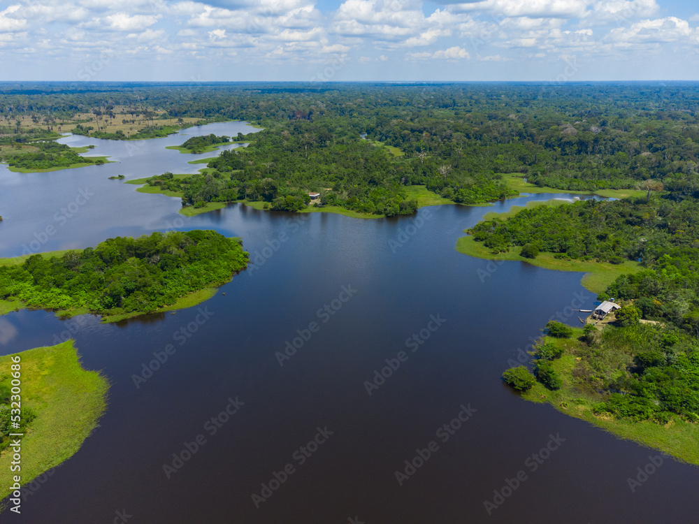 Aerial view of Igapó, the Amazon rainforest in Brazil, an incredible green landscape with lots of water and untouched nature Aerial view of Igapó, the Amazon rainforest in Brazil, an incredible green landscape with lots of water and untouched nature