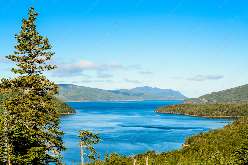 Gros Morne National Park, Wild Cove on Bonne Bay, Newfoundland, Canada.