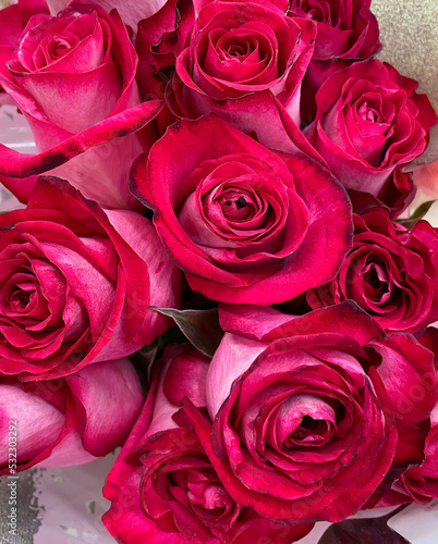 Fuchsia Pink Rose Bouquet
