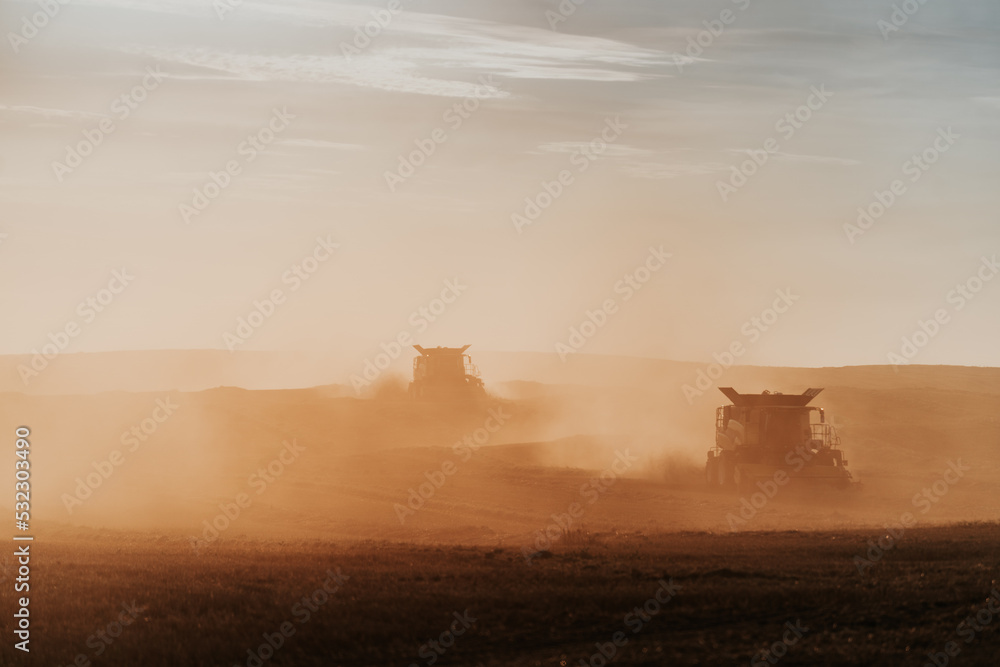 Fototapeta premium harvest dust 