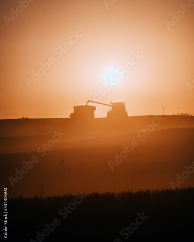 harvest sunset