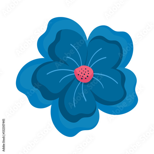 blue flower garden