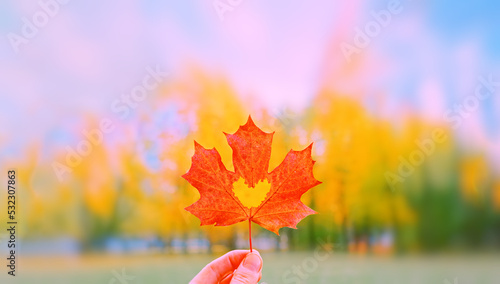 Hand holding red autumn heart shape maple dry leaf closeup. beauty in park. Nature change mood. Gold tree yellow orange sunny color. Pov view up blue sky Hello first fall season day Happy life concept