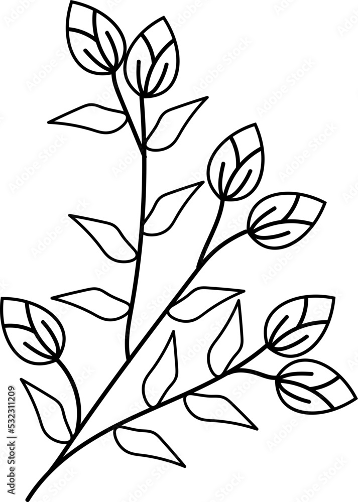 Fototapeta premium flower illustration