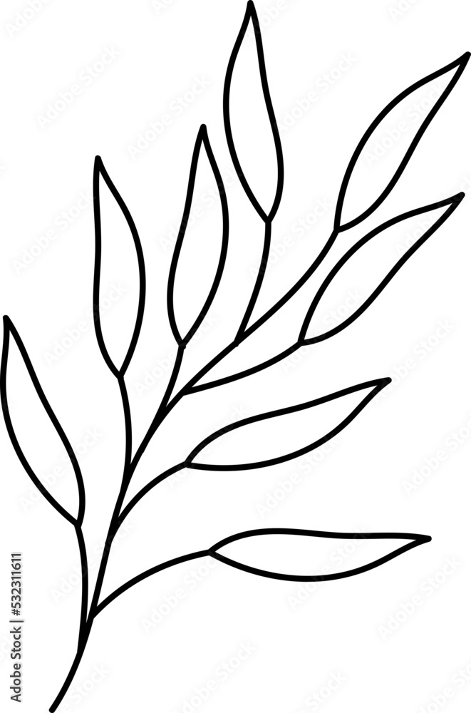 leaf illustration leaf illustration