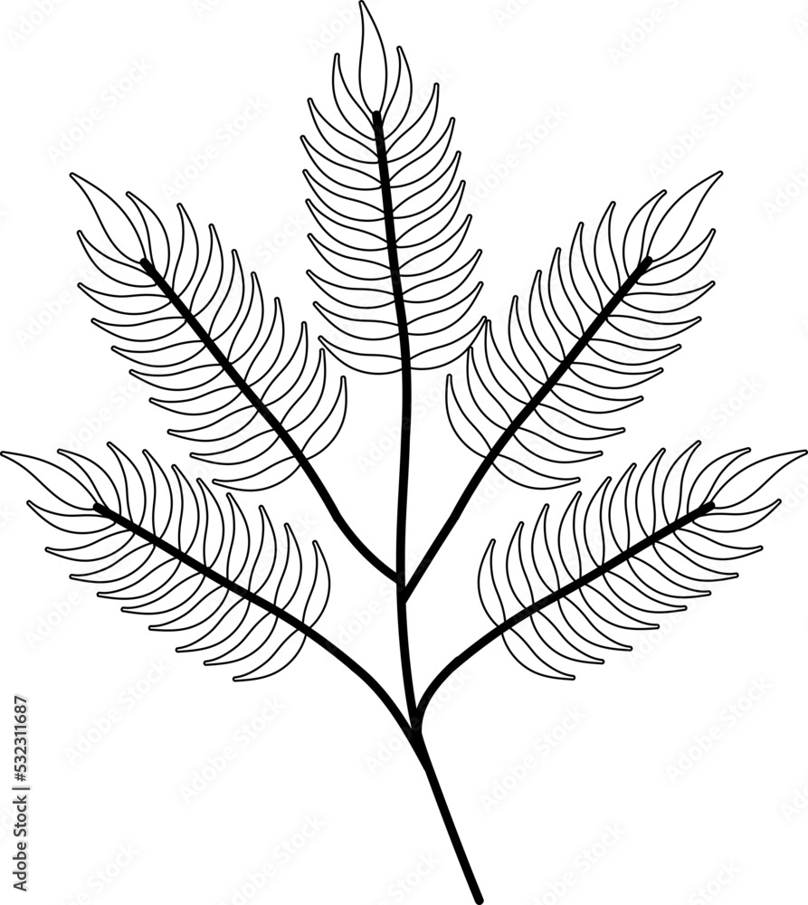 leaf illustration leaf illustration