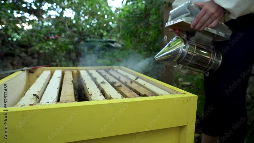 Adult beekeeper and little beekeeper girl look after honey harvest and calm bees with smoke. 4K Adult beekeeper and little beekeeper girl look after honey harvest and calm bees with smoke. 4K