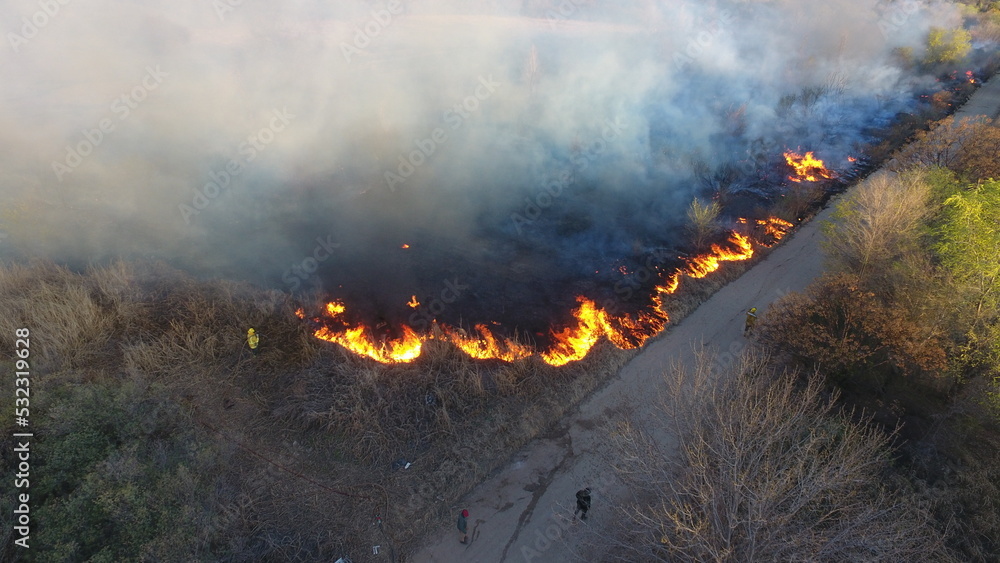 Fototapeta premium INCENDIO FORESTAL