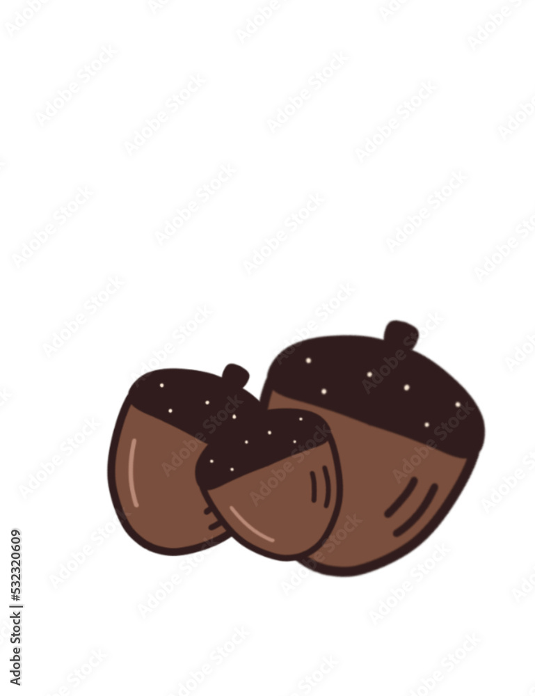 Fototapeta premium animal, squirrel, squirrel illustration