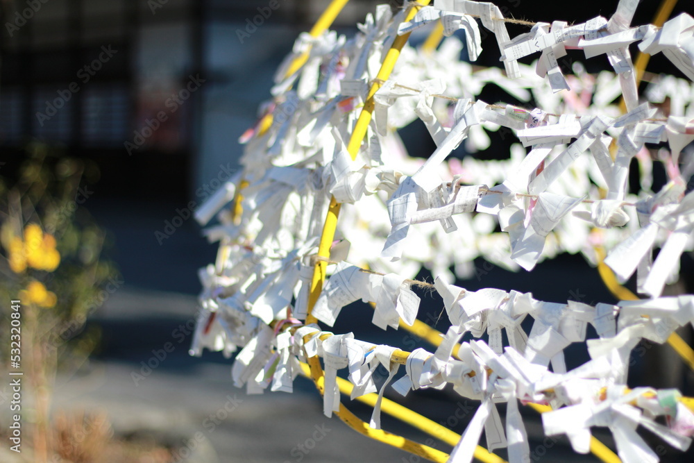 Obraz premium おみくじ