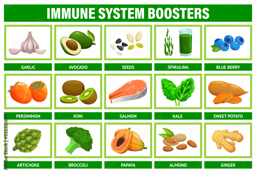 Immune system boosters. Superfood, fruits and vegetables food vector infographic. Garlic, avocado, spirulina and blueberry, kiwi, salmon and kale, sweet potato and artichoke, broccoli, almond, ginger