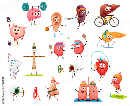 Cartoon funny human organs on yoga sport and fitness. Vector characters bladder, brain, ear and kidney, liver, spine and tooth. Spleen, lungs, heart and stomach, nose, eyeball and pancreas personages
