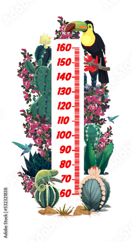 Kids height chart with mexican toucan, cactuses flowers. Child growth meter or height measure vector chart, kids growth ruler with mexican flora and fauna plants, chameleon lizard and hummingbirds