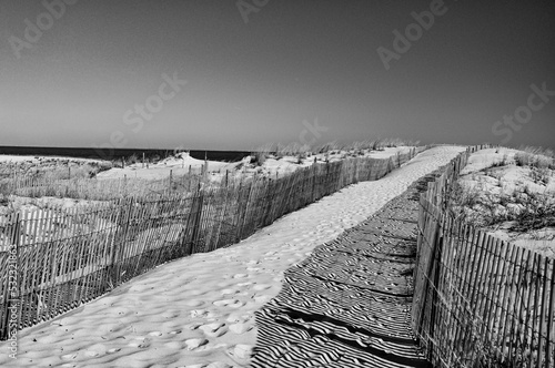 Monochrome Image of the Beach at Cape Henlopen Stata Park, Delaware USA, Lewes, Delaware photo