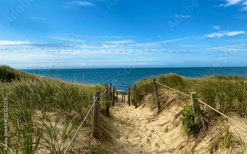 Path to the Sea