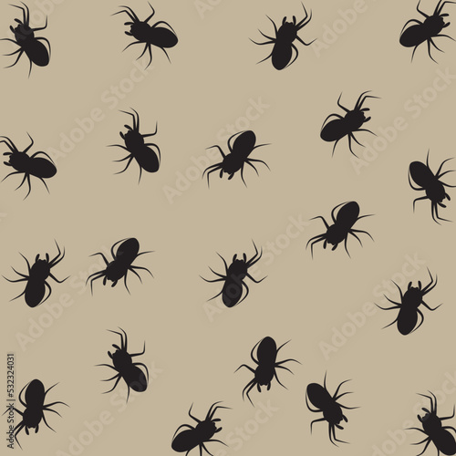 Spider, background free illustration