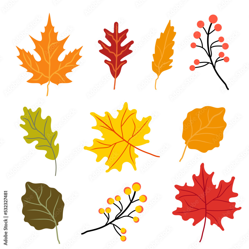 Autumn leaves on a white background Stock Illustration Autumn leaves on a white background Stock Illustration