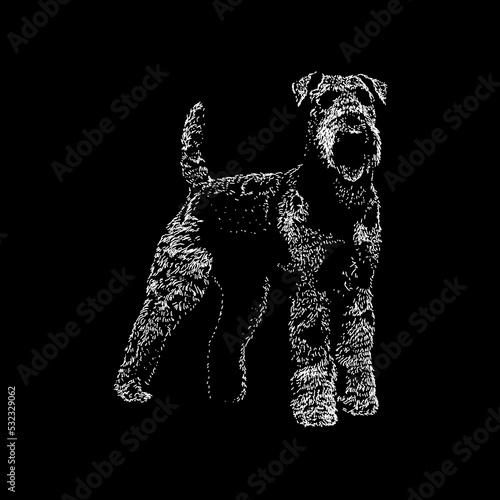 Airedale Terrier hand drawing vector illustration isolated on black background